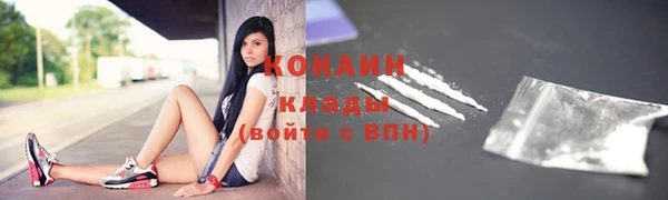 гашик Вязники