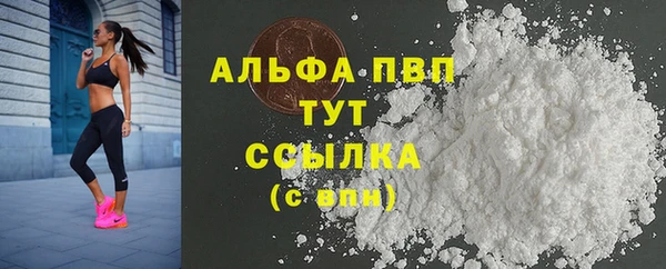 соль ск Вяземский