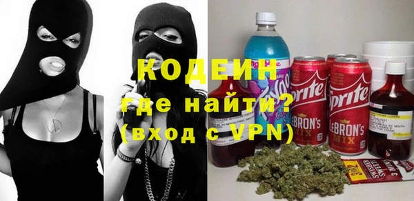 соль ск Вяземский